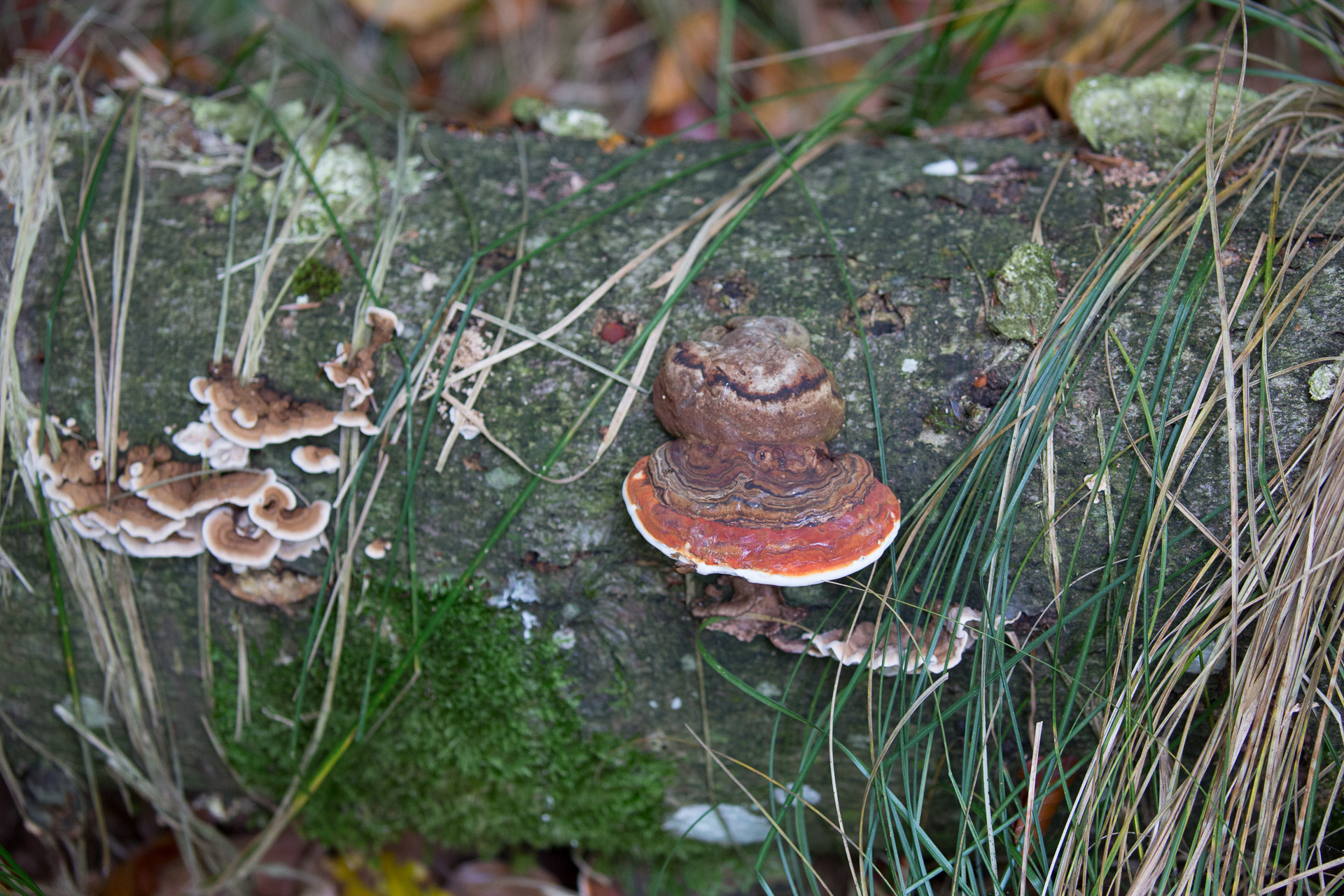 20231014100727 3K6A2193